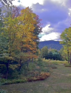 IMG_1392 - Version 2